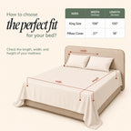 Sage Rose Green Floral Bedsheet Set